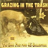 Various artists - Grazing In The Trash - Volume 1 - The Soul Fire Funk 45 Collection