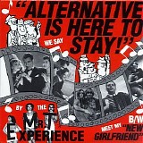 The Mr. T Experience - Alternative is here to stay