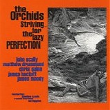 The Orchids - Striving For The Lazy Perfection LP