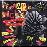 Various artists - Teenage Kicks: 46 Classic Punk & New Wave Tracks