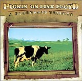 Various artists - Pickin' On Pink Floyd - A Bluegrass Tribute
