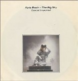 Kate Bush - The Big Sky