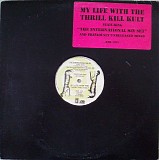My Life With The Thrill Kill Kult - The International Sin Set