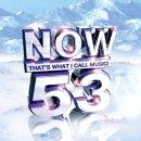 Various artists - Now That's What I Call Music! 53