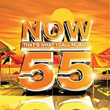Various artists - Now That's What I Call Music! 55
