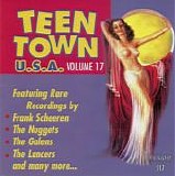 Various artists - Teen Town USA: Volume 17