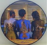 Pink Floyd - Rare Beauties (pic. Disc) (1)