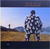 Pink Floyd - Delicate Sound of Thunder [VINYL]