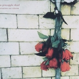 Pineapple Thief, The - Variations On A Dream