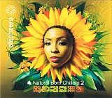Various artists - Natural Born Chillers 2