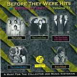 Various artists - Before They Were Hits: Volume 10
