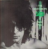 Waterboys, The - A Pagan Place