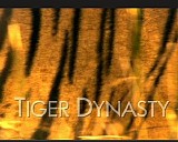 Brett Aplin - Tiger Dynasty