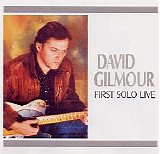 David Gilmour - First Solo Live, National Stadium, Dublin, Ireland