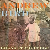 Bird, Andrew (Andrew Bird) - Break It Yourself