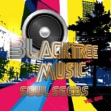 Various artists - Blacktree Music Presents: Soul Seeds, Vol. One
