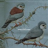 Shearwater - Thieves EP