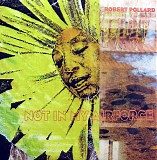 Robert Pollard - Not In My Airforce