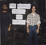 Mission Of Burma - The Horrible Truth About Burma