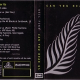 Neil Finn - Can You Hear Us