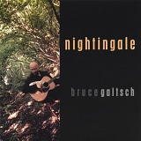 Bruce Gaitsch - nightingale