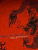 Gov't Mule - Mulennium (Disc 2)