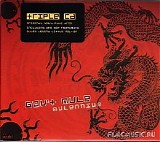 Gov't Mule - Mulennium (Disc 1)