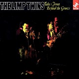 the limp twins - tales from beyond the groove