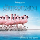 the cinematic orchestra & the london metropolitan orchestra - crimson wing - mystery of the flamingos