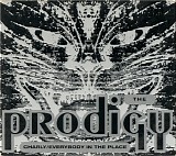 The Prodigy - Charly/Everybody In The Place