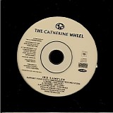 Catherine Wheel - IRD Sampler