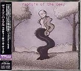 Deep Purple - Rapture Of The Deep (VICP-63247) - Japan w/Obi - Japanese