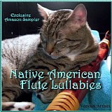 Various artists - Native American Flute Lullabies