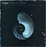 Future Of Forestry - Twilight