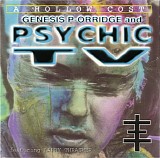 Genesis P-Orridge & Psychic TV - A Hollow Cost