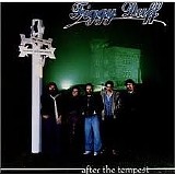 Figgy Duff - After The Tempest