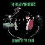 Flamin' Groovies - Jumpin' in the Night