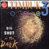 Timbuk3 - Big Shot In The Dark
