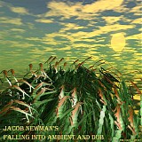 Various artists - Jacob Newman's Falling Into Ambient and Dub