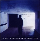 Various artists - In the Homeland We've Never Seen