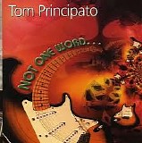 Tom Principato - Not One Word