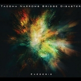 Tacoma Narrows Bridge Disaster - Exegesis