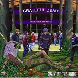 Grateful Dead - Dozin' At The Knick