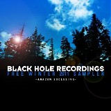 Various artists - Black Hole Recordings Free Winter 2011 Sampler