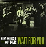 Roky Erickson And The Explosives - Wait For You