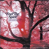Various artists - Feel The Spirit: Other Worldly Folk Music Gems and Psychedelics