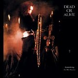 Dead or Alive - Something In My House