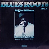Big Joe Williams - Ramblin' And Wanderin' Blues