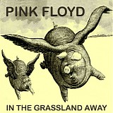 Pink Floyd - In The Grassland Away
