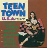 Various artists - Teen Town USA: Volume 12